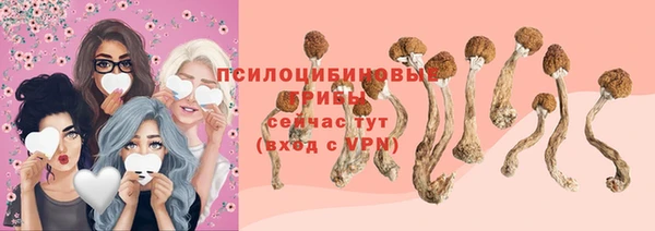 дурь Мегион