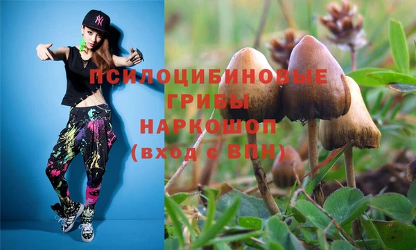 apvp Медвежьегорск