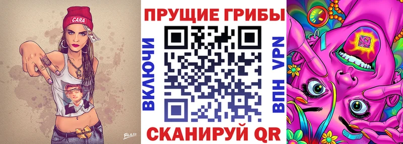 hydra онион что такое наркотик Камышин Псилоцибиновые грибы ЛСД