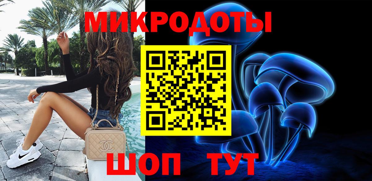 Галлюциногенные грибы Psilocybine cubensis Камышин